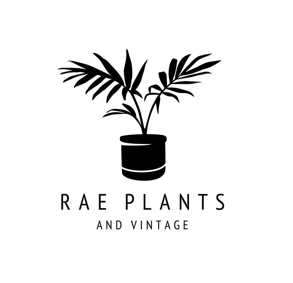 Plant Logo - Rae Plants & Vintage