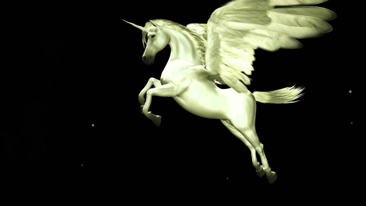 Flying Unicorn Logo - Flying Unicorn Animated Logo - YouTube