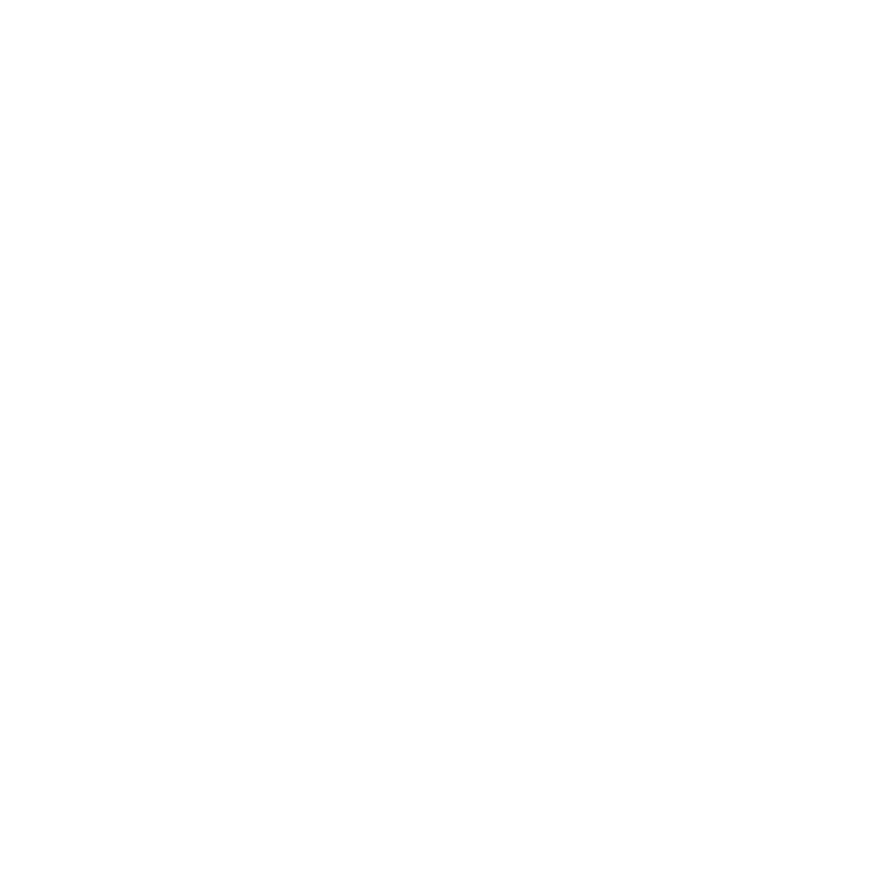 White Falcons Logo - Media Resources - Black Forest Academy
