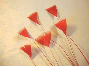 Red Triangle Rooster Logo - 15 Pcs.Triangle Trimmed Bright Red Stripped Coque Rooster Feathers ...