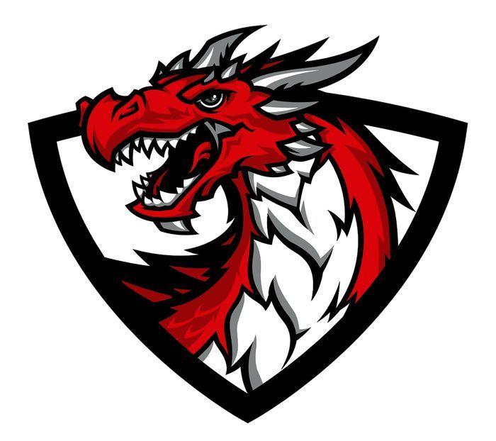 Epic Dragon Logo - Dragon Logos