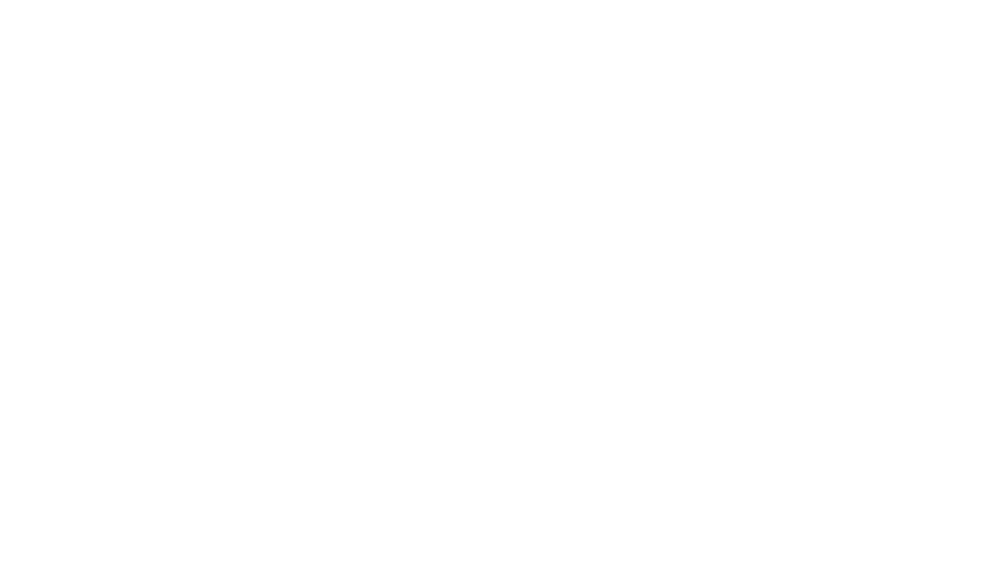Blues with White Line Logo - Preliminary Schedule – Waterfront Blues Fest
