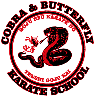 Internet Butterfly Logo - Woops, you blew up the internet!. Cobra & Butterfly Karate