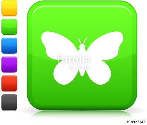 Internet Butterfly Logo - butterfly icon on square internet button Stock image and royalty