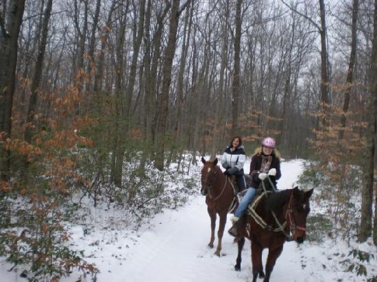 Horse Laurel Logo - horse back riding - Picture of Mountain Laurel Resort & Spa, White ...