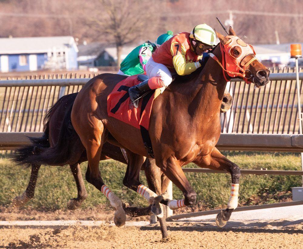 Horse Laurel Logo - Colonel Sharp, Isotope Overwhelm Favorites In Laurel Stakes - Horse ...