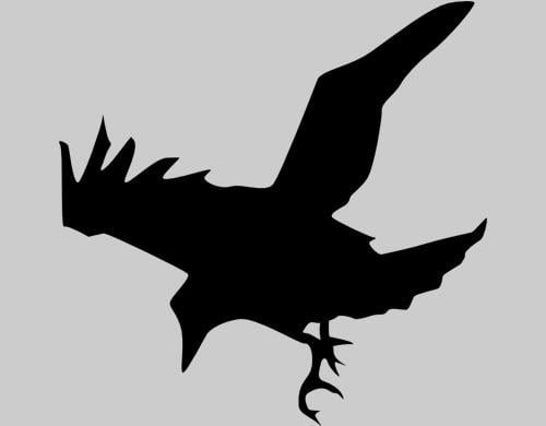 Raven Bird Logo - Raven Symbol | Symbolic Meaning ***