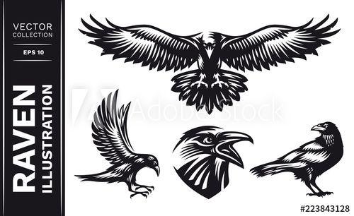 Raven Bird Logo - Raven bird collection - vector illustration, logo, emblem black and ...