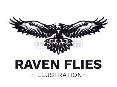 Raven Bird Logo - Raven bird in front - vector illustration, logo, emblem black and ...