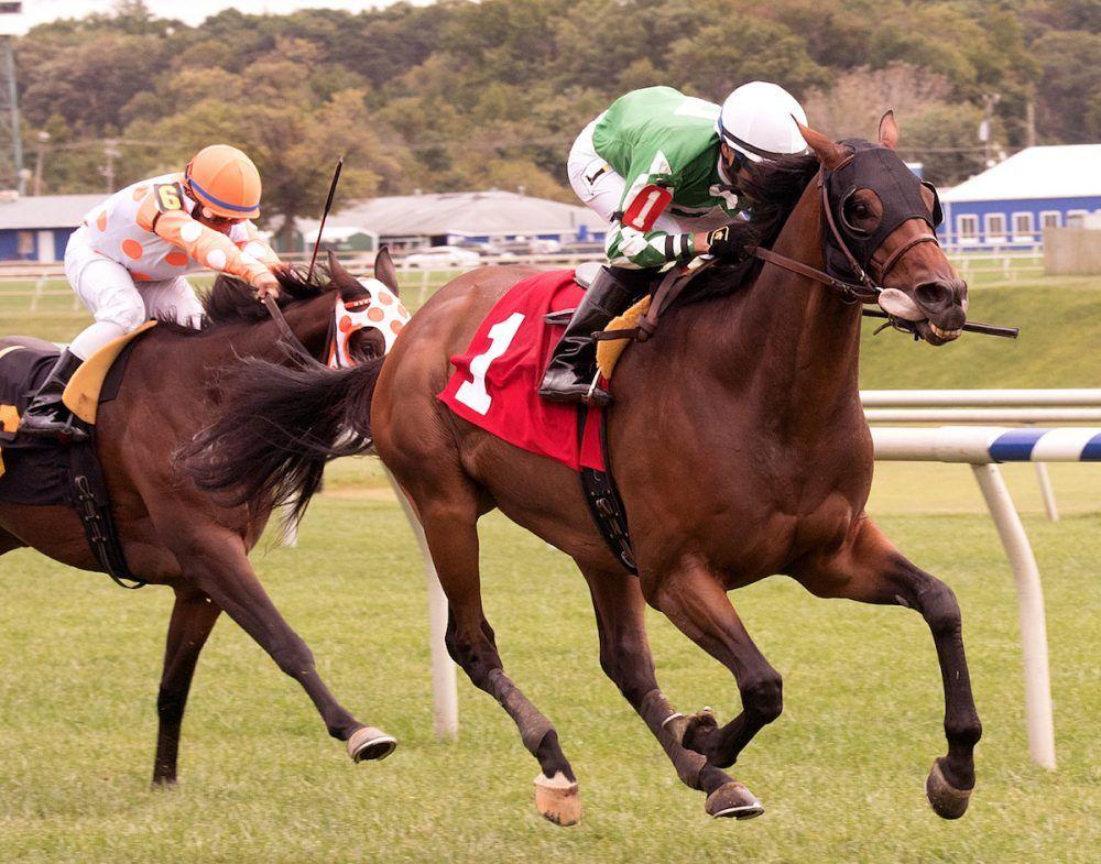 Horse Laurel Logo - Virginia-Breds In Spotlight With Quartet Of Stakes At Laurel - Horse ...