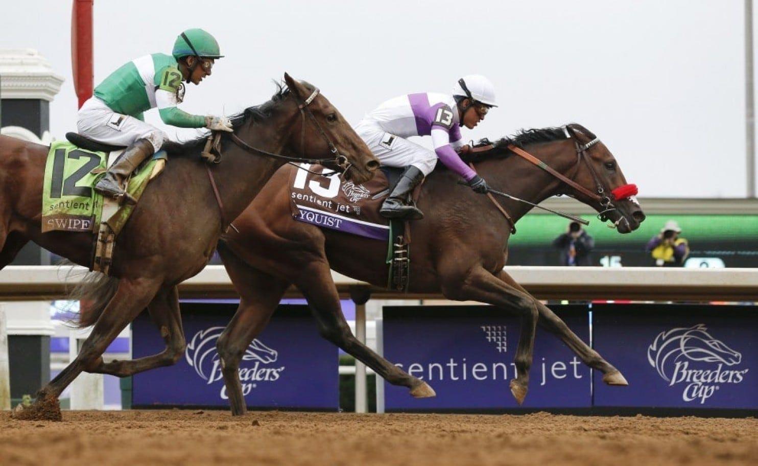 Horse Laurel Logo - The Breeders' Cup at Laurel Park? The Maryland Jockey Club is trying ...