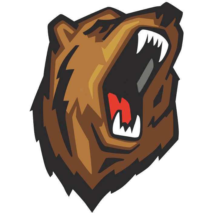Boxing Bear Logo - ALB Boxing – Bear Strong Training Vest