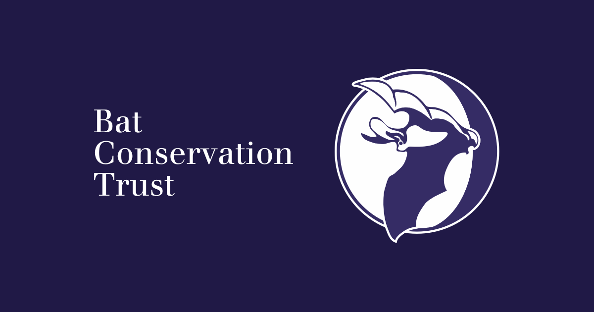 Bat Food and Drink Logo - A year in the life of a bat Bats Conservation Trust
