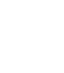 Boxing Bear Logo - ICONIK BOXING BEAR CHOCOLATE MILK STOUT - Iconik Coffee Roasters, LLC