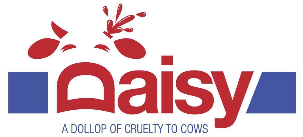 Daisy Brand Logo - Babies and Moms Torn Apart for Daisy Sour Cream. aug. 2015