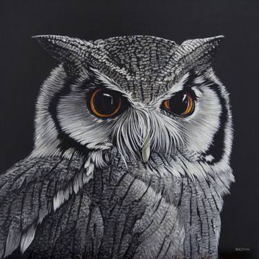 White Face Owl Logo - Southern white-faced owl Painting by Clara Bastian | Saatchi Art