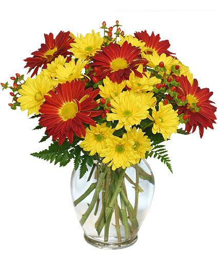 Yellow Flower Candy Company Logo - RED ROVER & YELLOW DAISY Bouquet of Flowers in Cedar City, UT ...