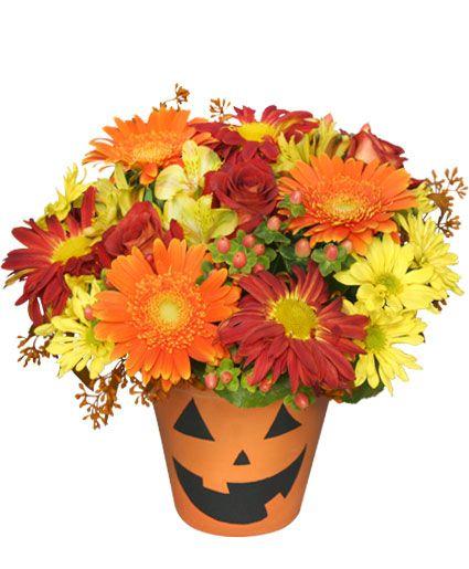 Yellow Flower Candy Company Logo - Bloomin' Jack-O-Lantern Halloween Flowers in Cedar City, UT ...