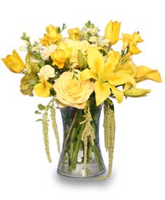 Yellow Flower Candy Company Logo - RAY OF SUNSHINE Yellow Flower Vase in Cedar City, UT - Boomer's ...