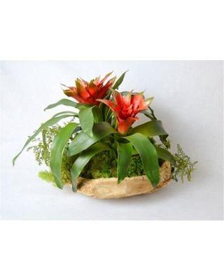 Companies with Red and Green Flower Logo - New Deal Alert: T Floral Company 16 x 13 in. Bromeliad In Wood Bowl