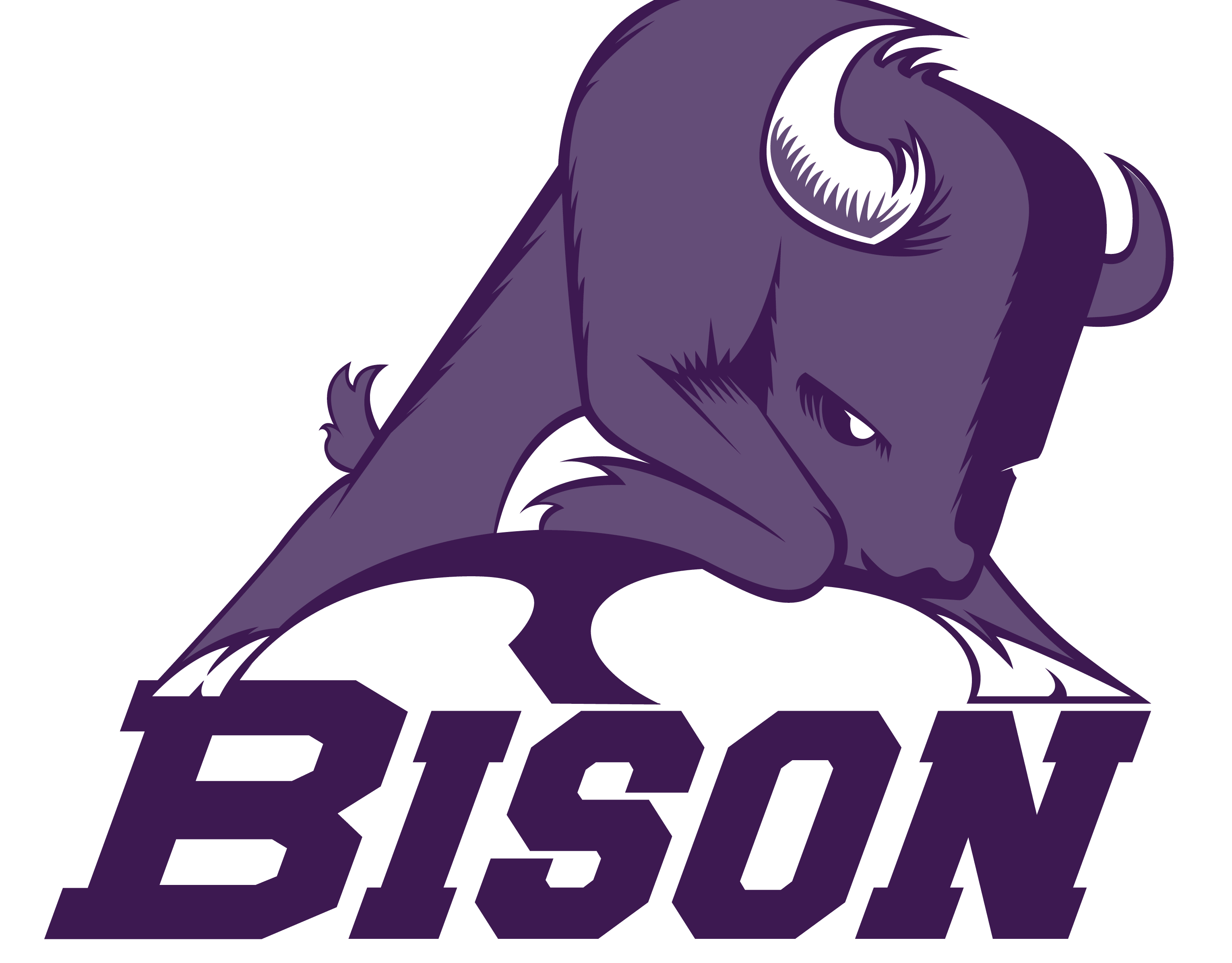 Sunset Bison Logo - sunset bison logo - Highland Park Sports Club