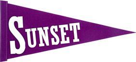 Sunset Bison Logo - SUNSET HIGH SCHOOL ALUMNI ASSOCIATION - Home