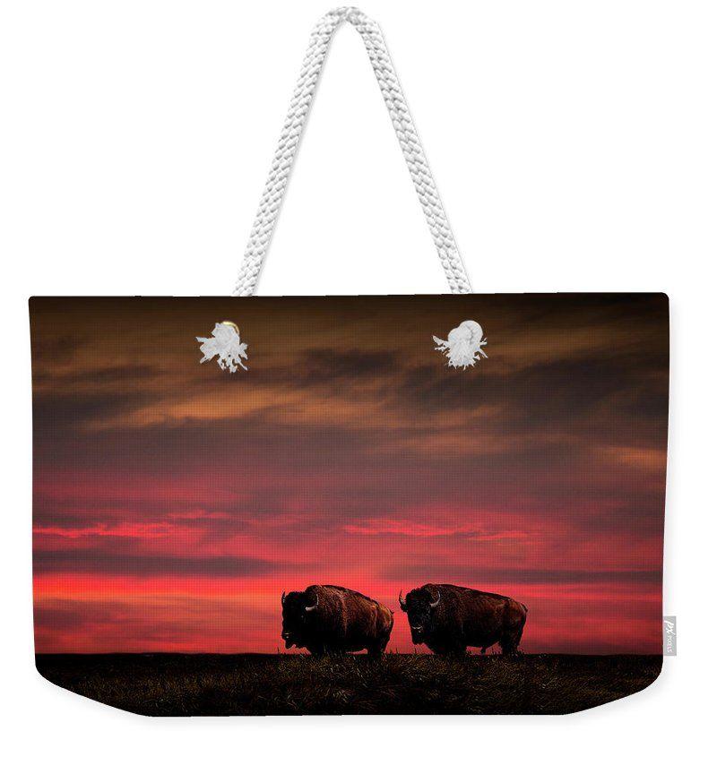Sunset Bison Logo - Two American Buffalo Bison At Sunset Weekender Tote Bag for Sale by ...