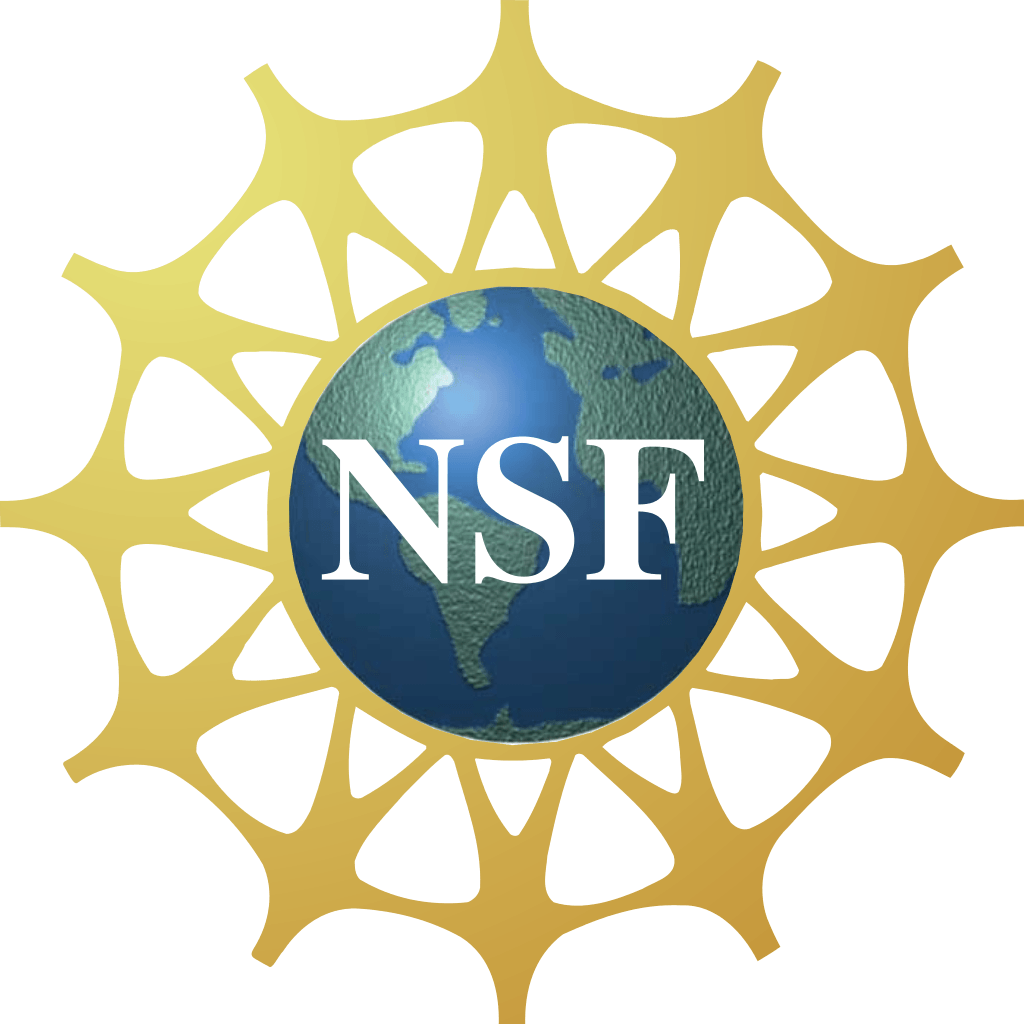 NSF Logo - NSF.svg