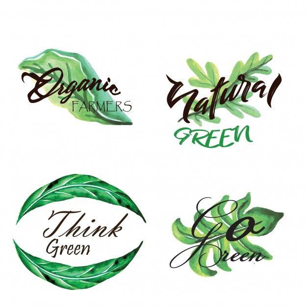 Green Leaves Logo - Watercolor green leaves logo collection Vector | Free Download