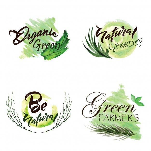 Green Leaves Logo - Watercolor green leaves logo collection Vector
