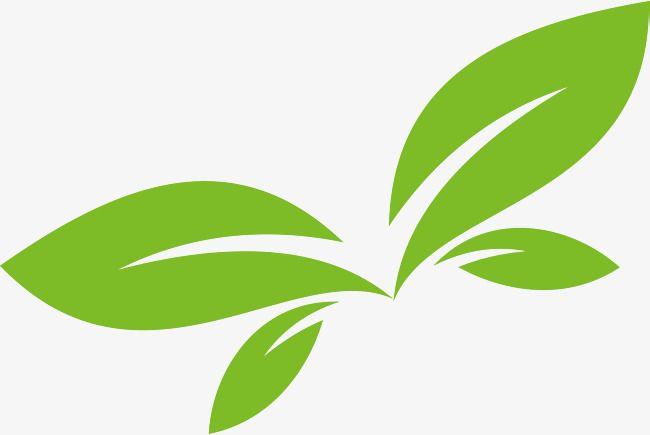 Green Leaves Logo - Green Leaf Vector Logo Design, Green Leaves, Green, Spring PNG and ...