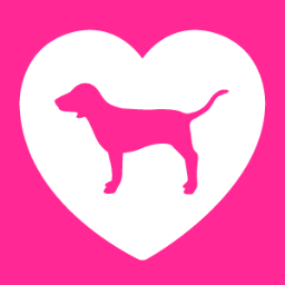 Victoria's Secret Pink Heart Logo - Consumer Brand: Victoria's Secret Graded Blog Post