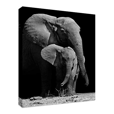 Black and White Elephant Logo - Black & White Elephant Protecting Her Baby Canvas Wall Art prints ...