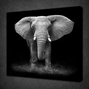 Black and White Elephant Logo - BLACK AND WHITE ELEPHANT ANIMAL DESIGN CANVAS PRINT WALL ART READY ...