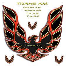 Trans AM Bird Logo - Trans Am Bird Decal