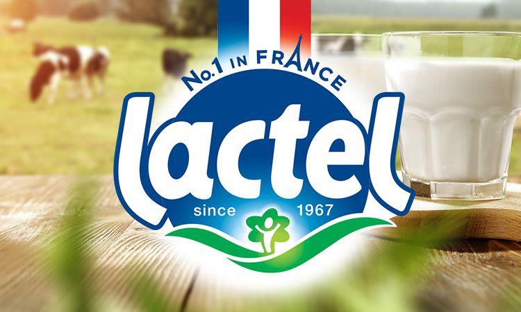 French Dairy Products Logo - Export division of the leader in dairy industry | Lactalis international