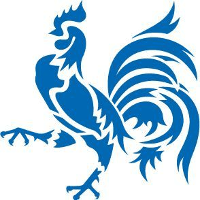 Blue Rooster Logo - Office shot showing our open. Rooster Office Photo