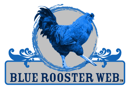 Blue Rooster Logo - Blue Rooster Web Gets A New Logo - Digital Marketing Agency, Tampa