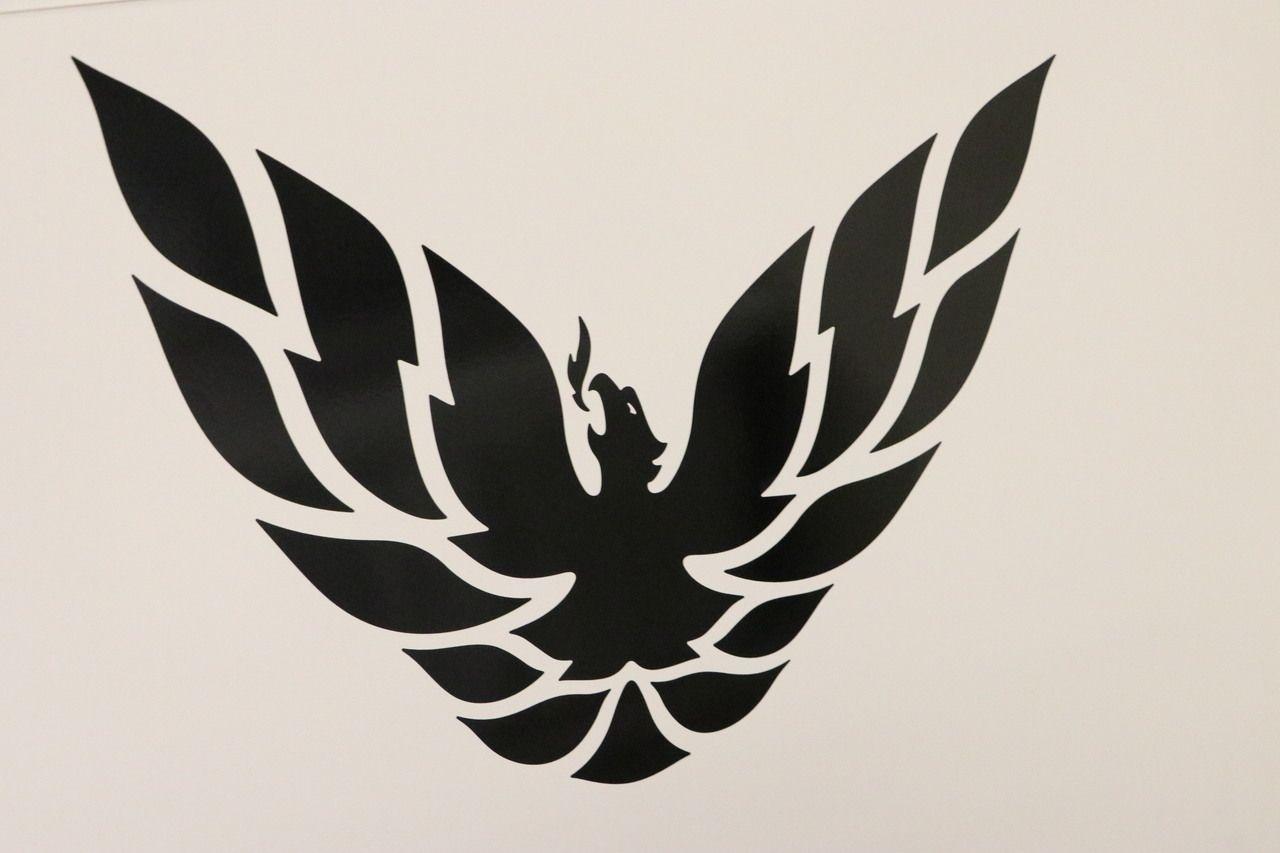 Trans AM Bird Logo - Custom Firebird Trans Am Formula Phoenix Bird Decal 14x11 Black ...