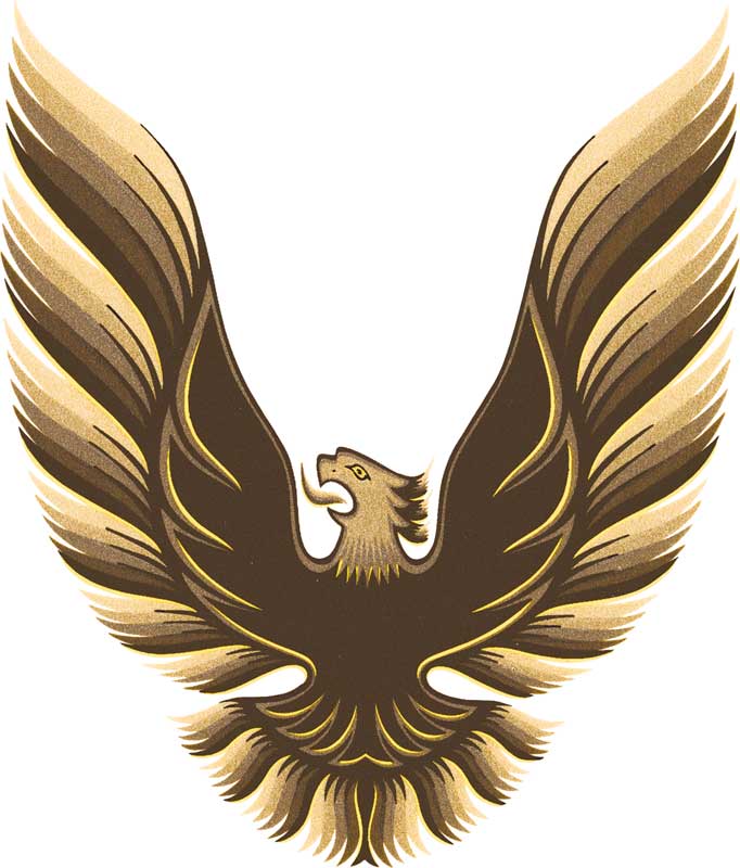Trans AM Bird Logo - DT557 | 1980 Trans AM Special Edition 6 Gold Sail Panel Bird Decal
