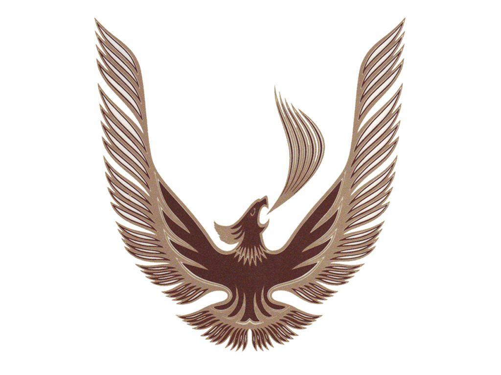 Trans AM Bird Logo - DECAL KIT TURBO SPECIAL EDITION BLACK W MOLDED STRIPES GOLDV2 TRANS