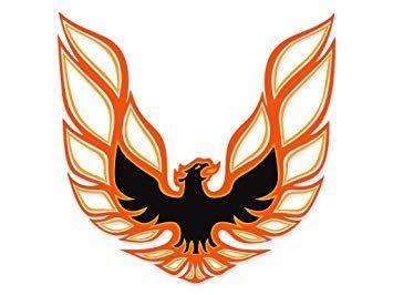 Trans AM Bird Logo - Amazon.com: 1973 1974 1975 1976 1977 1978 Pontiac Firebird Trans Am ...