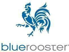 Blue Rooster Logo - Blue Rooster Competitors, Revenue and Employees - Owler Company Profile
