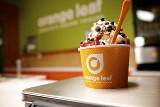 Ice Cream Orange Leaf Logo - Orange Leaf Frozen Yogurt.. Downtown Holland Michigan