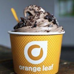 Ice Cream Orange Leaf Logo - Orange Leaf Frozen Yogurt photo & 15 avis & Yaourts