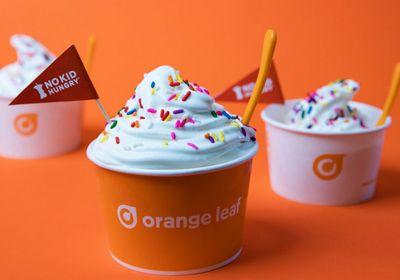 Ice Cream Orange Leaf Logo - Orange Leaf