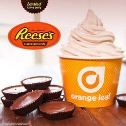Ice Cream Orange Leaf Logo - Orange Leaf Frozen Yogurt Cream & Frozen Yogurt