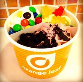 Ice Cream Orange Leaf Logo - Oklahoma City, Okla.-based Orange Leaf Frozen Yogurt now offers cup