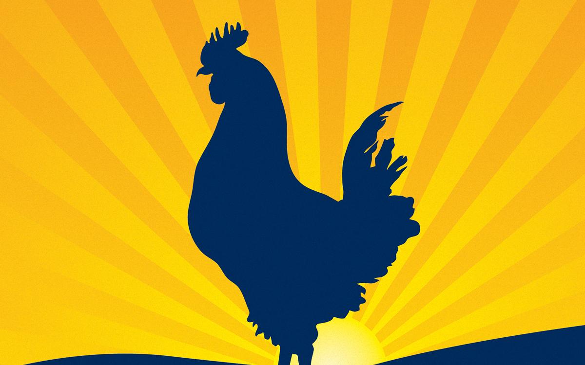 Blue Rooster Logo - Blue Rooster Breakfast Sandwiches - Telesco Creative Group