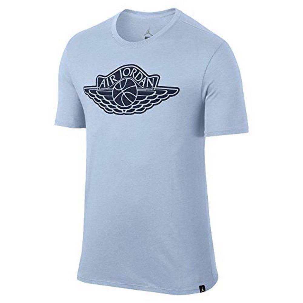 Jordan Wings Logo - Amazon.com: NIKE Mens Jordan Iconic Wings T-Shirt: Clothing